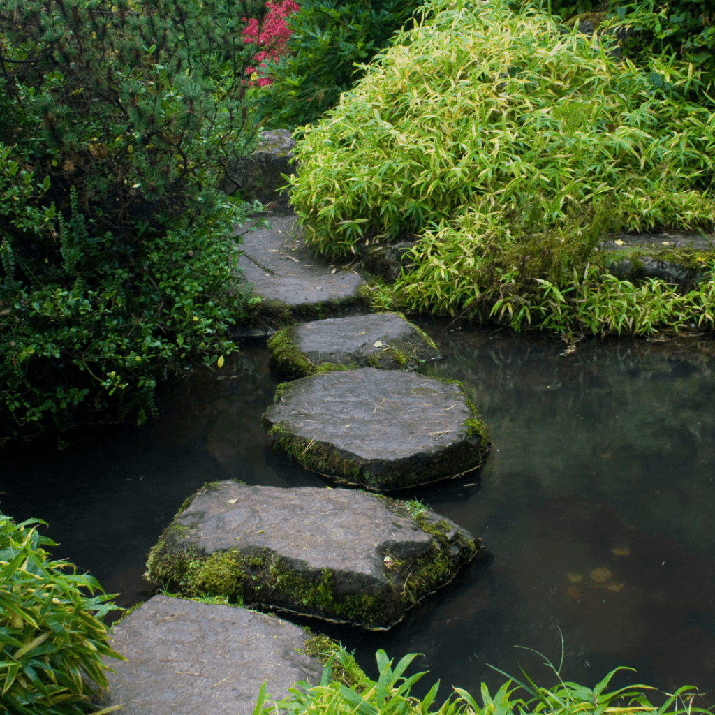Picture of stepping stones.
